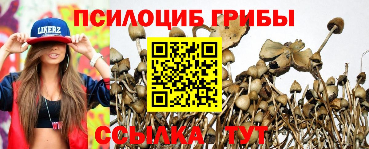 Галлюциногенные грибы мухоморы Котельники